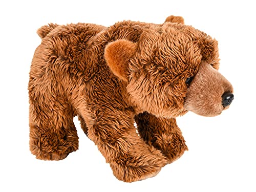 HOWBOUTDIS 30,5 cm Schlenker-Grizly Bear Plüsch, Stofftier, ultraweicher Mantel, kuschelig und gemütlich, tolles Geschenk oder Preis, ab 3 Jahren HOWBOUTDIS 30,5 cm Schlenker-Grizly Bear Plüsch, Stofftier, ultraweicher Mantel, kuschelig und gemütlich, tolles Geschenk oder Preis, ab 3 Jahren von HOWBOUTDIS