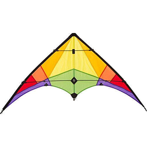 HQ Design Ecoline Rookie Lenkdrachen Zweileiner Flugdrachen für Erwachsene und Kinder ab 8 Jahren, 60x120cm, inkl. 20kp Polyesterschnüre 2x25m auf Spulen, 3-5 Bft (Rainbow) von HQ HIGH QUALITY DESIGN