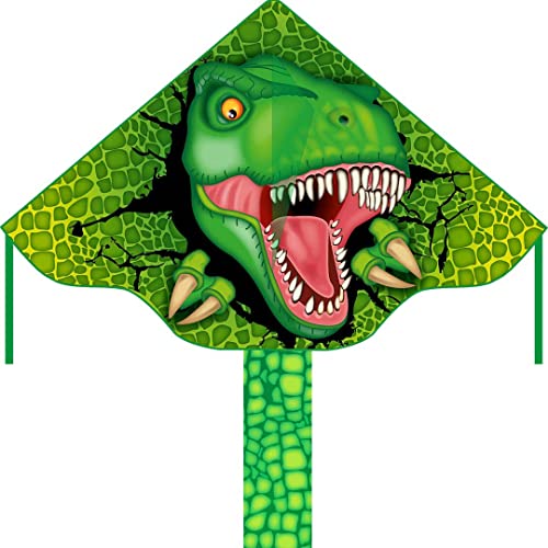 Ecoline Simple Flyer 120 Kinderdrachen Flugdrachen Einleiner Drachen zum steigen lassen wenig Wind ab 5 Jahre 75x120cm+1.5m Drachenschwanz 17kp Polyesterschnur 25m auf Griff 2-5 Bft (T-Rex) von HQ HIGH QUALITY DESIGN