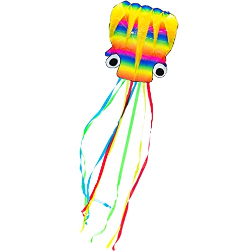 HQ Design - Rainbow Octopus L, Kinderdrachen Drachen Flugdrachen Einleiner Drachen zum steigen Lassen, wenig Wind ab 8 Jahren, 480x120cm inkl. 35kp Polyesterschnur 40m auf Spule, 2-5 Bft von HQ HIGH QUALITY DESIGN