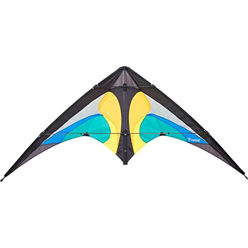 HQ 11677615 - Yukon II Ice, Zweileiner Lenkdrachen Allround, ab 12 Jahren, 80x175cm, inkl. 50kp Dyneemaschnüre 2x20m auf Winder mit Schlaufen, 2-6 Beaufort von HQ HIGH QUALITY DESIGN