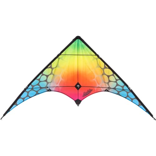 HQ Design Ecoline Rookie Lenkdrachen Zweileiner Flugdrachen für Erwachsene und Kinder ab 8 Jahren, 60x120cm, inkl. 20kp Polyesterschnüre 2x25m auf Spulen, 3-5 Bft (Mesh) von HQ HIGH QUALITY DESIGN