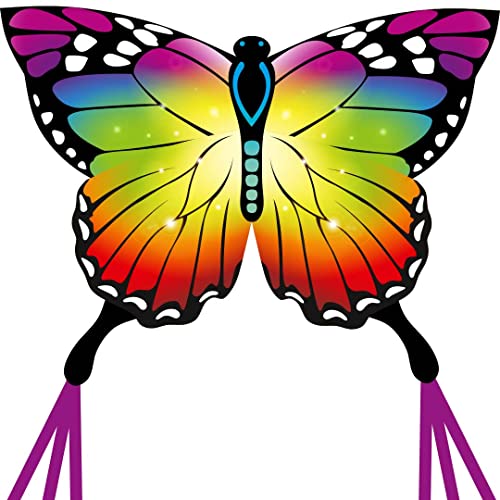 HQ Design Ecoline Butterfly Kite Rainbow Kinderdrachen Flugdrachen Einleiner Drachen steigen Lassen wenig Wind ab 5 Jahre 95x120cm+1.9m Drachenschwanz inkl. 17kp Polyesterschnur 25m auf Griff 2-4 Bft von HQ HIGH QUALITY DESIGN