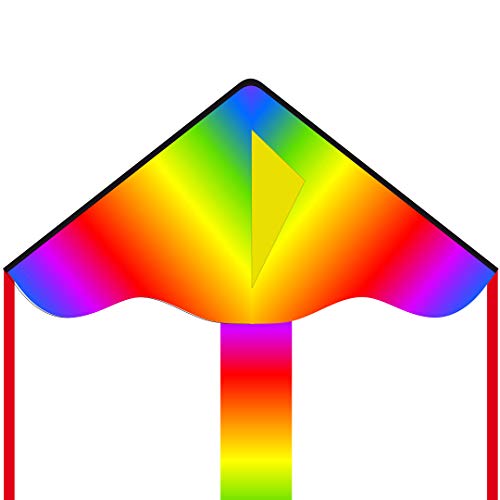 HQ Design Ecoline - Simple Flyer 85cm Kinderdrachen Einleiner, ab 5 Jahren, 42x85cm und 1.5m Drachenschwanz, inkl. 17kp Polyesterschnur 25m auf Griff, 2-5 Beaufort (Radient Rainbow) von HQ HIGH QUALITY DESIGN