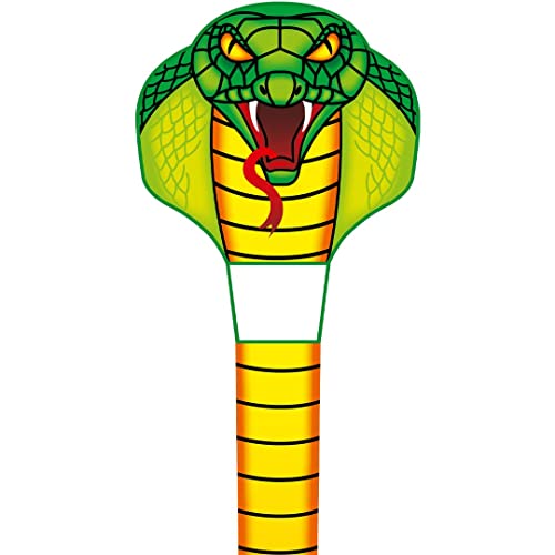HQ Design Ecoline Emerald Cobra Kite Kinderdrachen Flugdrachen Einleiner Drachen zum steigen Lassen wenig Wind ab 5 Jahre 1000x67cm inkl. 17kp Polyesterschnur 25m auf Griff 2-6 Bft von HQ