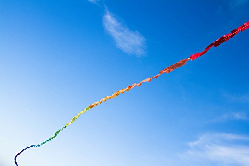 HQ Kites and Designs Fuzzy Tail 20 m Erwachsene Unisex, Mehrfarbig, 20 Monate von Invento