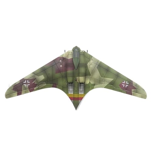 HQRTYBI 1/72 Für P0502 Deutsche Ho229 Flying Wing Bomber Modell Fertigproduktkollektion Modell Interne Struktur Display von HQRTYBI