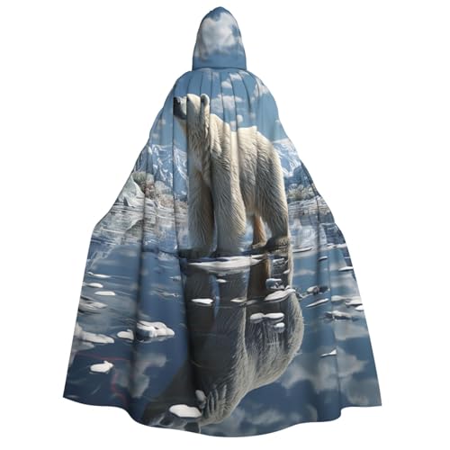 HQaxsfQxnr Kapuzenumhang Halloween Kapuzenumhang Gletscher Eisbär Kapuzenmantel Herren Damen Halloween Umhang Cosplay Kostüme von HQaxsfQxnr