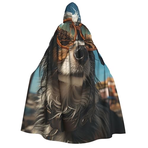 HQaxsfQxnr Kapuzenumhang für Halloween, mit Brille, Kapuzenmantel für Herren und Damen, Halloween-Umhang, Cosplay-Kostüme von HQaxsfQxnr