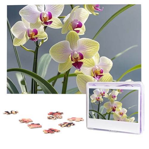 Puzzles, 1000 Teile, personalisierbar, bunte Orchideen, Blumen, Fotopuzzle mit Aufbewahrungstasche, herausforderndes Bilderpuzzle für Erwachsene, Bilderpuzzle für Familie, Dekor-Puzzle, 74,9 x 50 cm Puzzles, 1000 Teile, personalisierbar, bunte Orchideen, Blumen, Fotopuzzle mit Aufbewahrungstasche, herausforderndes Bilderpuzzle für Erwachsene, Bilderpuzzle für Familie, Dekor-Puzzle, 74,9 x 50 cm von HQaxsfQxnr