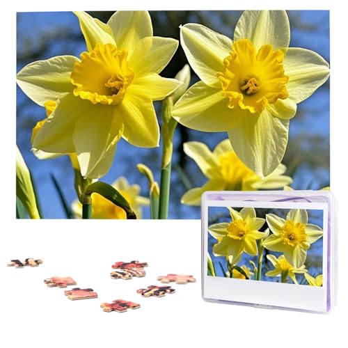 Puzzles, 1000 Teile, personalisierte Puzzles, gelbe Narzissen, Blumen, Fotopuzzle mit Aufbewahrungstasche, herausforderndes Bilderpuzzle für Erwachsene, Bilderpuzzle für Familie, Dekor-Puzzle, 74,9 x Puzzles, 1000 Teile, personalisierte Puzzles, gelbe Narzissen, Blumen, Fotopuzzle mit Aufbewahrungstasche, herausforderndes Bilderpuzzle für Erwachsene, Bilderpuzzle für Familie, Dekor-Puzzle, 74,9 x von HQaxsfQxnr