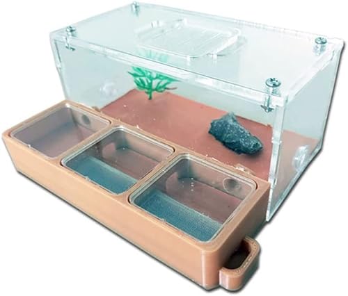 Minimalistische Ameisenburg Beton Flach Eco Ameisennest Bauernhof mit Trinkbrunnen Ameisenhaufen Hydrator mit Jagdplatz Ameisenfarm von HRTC