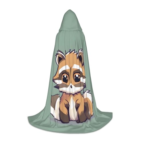 Cartoon-Umhang mit süßem Waschbär-Druck, Urlaub, Party, Kapuzenumhang für Halloween, Dekoration, Karneval, Geschenke, Cosplay, Mottopartys Cartoon-Umhang mit süßem Waschbär-Druck, Urlaub, Party, Kapuzenumhang für Halloween, Dekoration, Karneval, Geschenke, Cosplay, Mottopartys von HTTUP