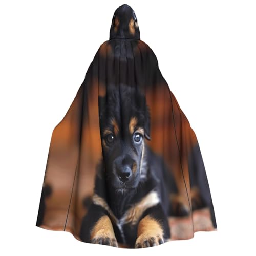 Umhang mit Kapuze, Unisex, für Erwachsene, Halloween, Weihnachten, Karneval, Mottopartys, Cosplay-Kostüm Umhang mit Kapuze, Unisex, für Erwachsene, Halloween, Weihnachten, Karneval, Mottopartys, Cosplay-Kostüm von HTTUP