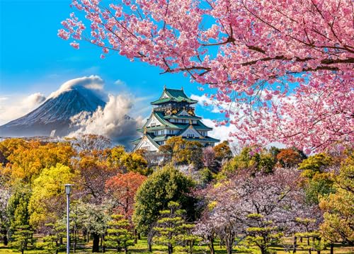 Osaka Castle Puzzle 1000 Teile Erwachsene Fuji Cherry Blossom Erwachsene 1000 Teile Puzzle Geschenkideen von HUADADA