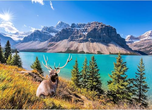 Puzzle 1000 Teile, Erwachsene und Kinder Puzzle 1000 Teile,High Difficulty Familienpuzzle,Buntes Geschicklichkeitsrätselspiel-Felsiger Bergsee Puzzle 1000 Teile, Erwachsene und Kinder Puzzle 1000 Teile,High Difficulty Familienpuzzle,Buntes Geschicklichkeitsrätselspiel-Felsiger Bergsee von HUADADA