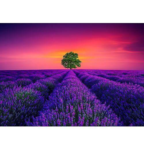 Puzzle 1000 Teile,Puzzle Erwachsene, Impossible Puzzle, Geschicklichkeitsspiel für die ganze Familie,Puzzle farbenfrohes Legespiel .Home Dekoration Puzzle -(Provence-Lavendel) von HUADADA