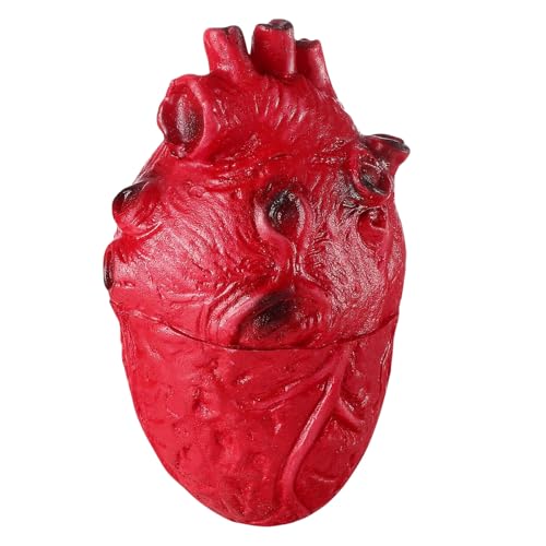 HUAJINGKEJI Realistische Herz-Requisiten für Halloween-Party-Dekorationen und gruselige Streiche unheimliches Modell Spukhaus HUAJINGKEJI Realistische Herz-Requisiten für Halloween-Party-Dekorationen und gruselige Streiche unheimliches Modell Spukhaus von HUAJINGKEJI