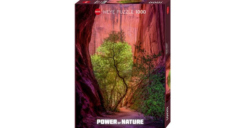 Puzzle Power of Nature - Singing Canyon, 1.000 Teile von HEYE
