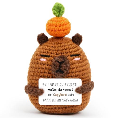 HUKUMA Positive Geschenke Capybara Kuscheltier,Gehäkeltes Emotional Support Geschenk,Pocket Hug Positive Capybara,Capybara plüschtier,lustige Positive Capybara plüsch,Kleines Geschenk für Freund von HUKUMA