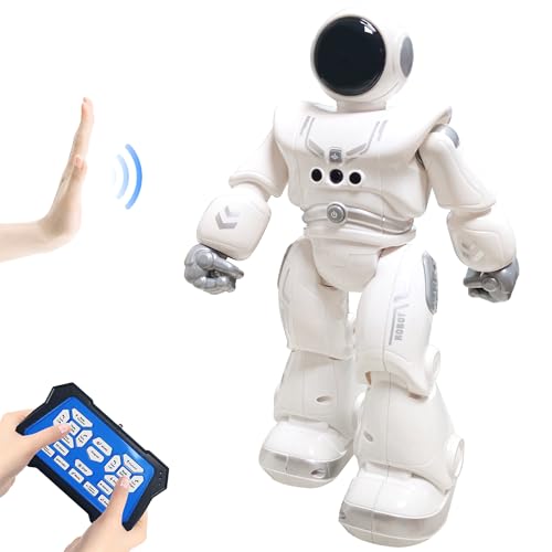 HUSAN Fernbedienungsroboter für Kinder, intelligenter programmierbarer Roboter mit Infrarot-Controller-Spielzeug, Tanzen, Singen, Moonwalking und LED-Augen, Gestenerkennungs-Roboter-Kit (Grau) von HUSAN