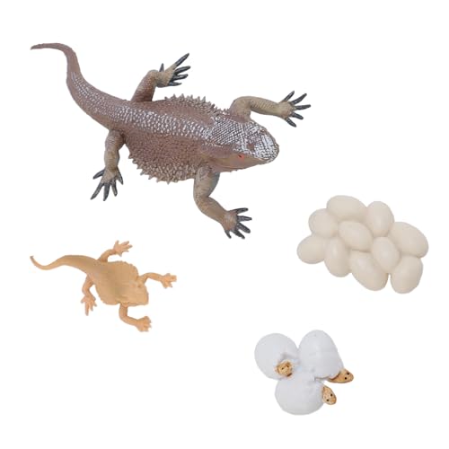 Hushui Eidechse Life Cycle Figur Spielzeug Bildung Interaktiver LebensexiMuliertes Reptilien -Tierfigur für die Heimschule Set für Heimschule von HUSHUI