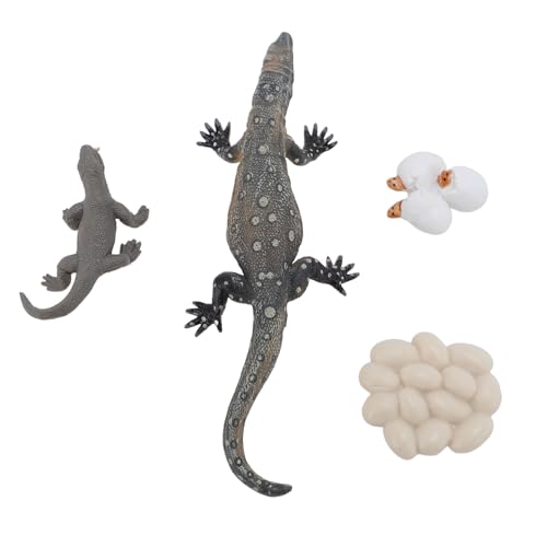 HWGING 4 PCs Eidechse Life Cycle Toy PVC Realistische Bildungswachstumszyklusspielzeug für Bildungsreptilien von HWGING