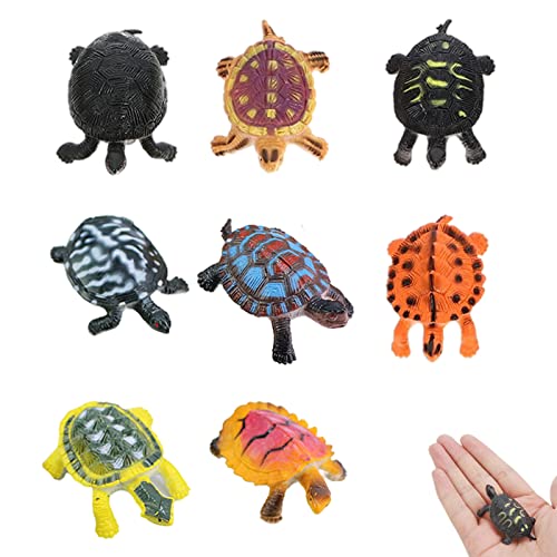 HXHWKEN 8Pcs Schildkröten Figurines Mini Realistische Schildkröte Figuren Pädagogisches Spielzeug für Party Favor Badewanne Geschenk von HXHWKEN