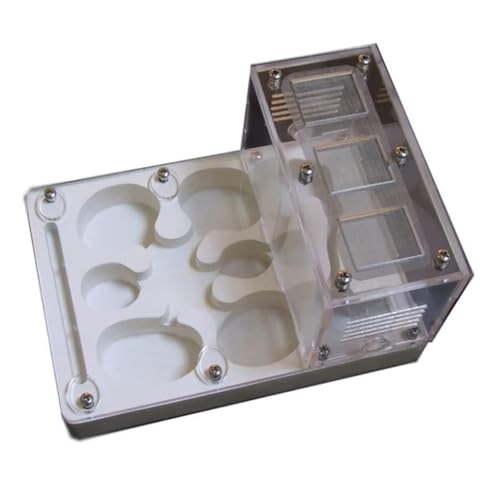 HYKJCSS Ameisenfarm Insektenbedarf Ant Castle Gips Lebensraum Ant Nest Farm Ant Farm Lernen Wissenschaft Spielzeug Pädagogisches Ameisen Farm(White) von HYKJCSS