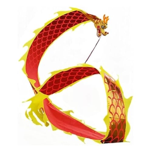 HYKJCSS Drachentanz, Löwe, Tanz, Löwe, Requisiten, Luftschlangen, chinesisches Neujahr, Seide, Drache, traditionelles Outdoor-Drachen, Fitnessband, chinesisches Neujahr (A,8 m) von HYKJCSS