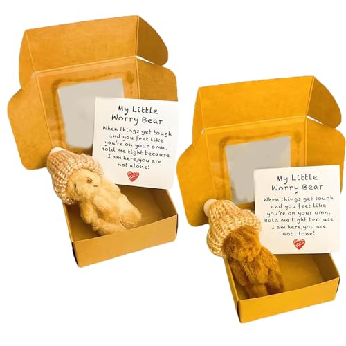 HYPYXUS Kleiner Bär in der Schachtel, handgefertigtes Mini Plüsch Teddybär in Kasten, Pocket Bears Plüsch Puppe gestrickten Hut, emotionale Unterstützungspartner, bringen Sie Ermutigung Wärme (2PcsD) HYPYXUS Kleiner Bär in der Schachtel, handgefertigtes Mini Plüsch Teddybär in Kasten, Pocket Bears Plüsch Puppe gestrickten Hut, emotionale Unterstützungspartner, bringen Sie Ermutigung Wärme (2PcsD) von HYPYXUS