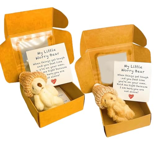 HYPYXUS Kleiner Bär in der Schachtel, handgefertigtes Mini Plüsch Teddybär in Kasten, Pocket Bears Plüsch Puppe gestrickten Hut, emotionale Unterstützungspartner, bringen Sie Ermutigung Wärme (2PcsB) HYPYXUS Kleiner Bär in der Schachtel, handgefertigtes Mini Plüsch Teddybär in Kasten, Pocket Bears Plüsch Puppe gestrickten Hut, emotionale Unterstützungspartner, bringen Sie Ermutigung Wärme (2PcsB) von HYPYXUS