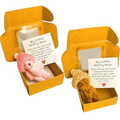 Kleiner Bär in der Schachtel, handgefertigtes Mini Plüsch Teddybär in Kasten, Pocket Bears Plüsch Puppe gestrickten Hut, emotionale Unterstützungspartner, bringen Sie Ermutigung Wärme (2Pcs A) von HYPYXUS