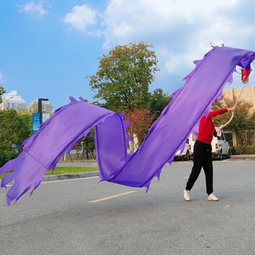 Drachen-Poi, for Selbermachen, einfarbiges Drachenband for Tanzen, Drachen-Poi for Schleudern beim Sporttraining for Jonglieren, realistisches Drachen-Requisit mit Aufbewahrungstasche(Purple,6 m (20 f Drachen-Poi, for Selbermachen, einfarbiges Drachenband for Tanzen, Drachen-Poi for Schleudern beim Sporttraining for Jonglieren, realistisches Drachen-Requisit mit Aufbewahrungstasche(Purple,6 m (20 f von HYQING