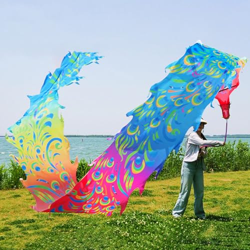 Drachen-Poi mit Pfauenmuster, Drachenband, orientalischer traditioneller Fitness-Tanz-Drachen-Streamer for Tanz und Jonglieren, waschbarer, seidenartiger, bunter Drachen-Poi(Colorful,8 m (26 ft)) von HYQING