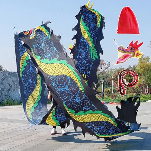 HYQING Dragon Poi Black Dragon Poi Schleuderband, Outdoor Sports Dance Dragon Streamer Wu Long Kites, Senioren-Drachen-Spinnbänder for Parks/Höfe/Plätze(6 m (20 ft)) von HYQING