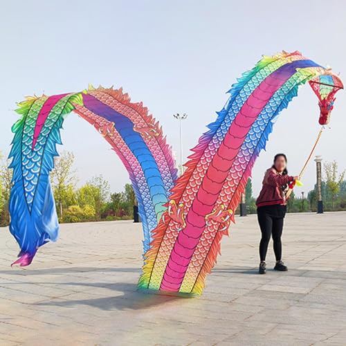 HYQING Dragon Poi Dance Dragon Ribbon Streamer for Square Exercise, Fitness Dragon Poi Set mit Drachenkopf und Schaukelseil, Outdoor Fitness Jonglierdrachen-Streamer(Colorful,8 m (26 ft)) von HYQING