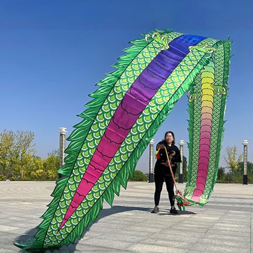 HYQING Dragon Poi Dance Dragon Ribbon Streamer for Square Exercise, Fitness Dragon Poi Set mit Drachenkopf und Schaukelseil, Outdoor Fitness Jonglierdrachen-Streamer(Green,8 m (26 ft)) von HYQING