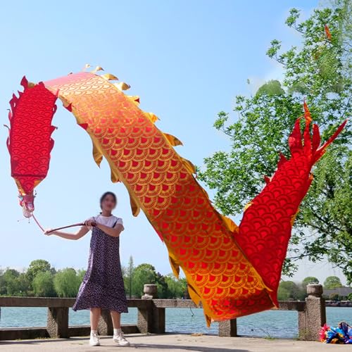 HYQING Dragon Poi Fitness Drachentanzband, Golden Scale Throw Streamer Set mit Drachenkopf und Schaukelseil, Outdoor Sports Jonglierdrachen-Schleuderband(Red,6 m (20 ft)) von HYQING