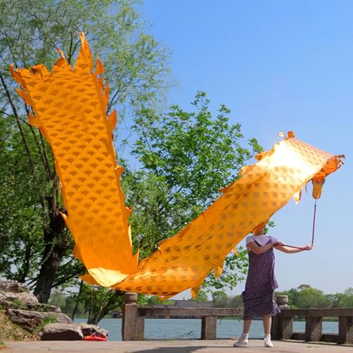 HYQING Dragon Poi Fitness Drachentanzband, Golden Scale Throw Streamer Set mit Drachenkopf und Schaukelseil, Outdoor Sports Jonglierdrachen-Schleuderband(Yellow,6 m (20 ft)) von HYQING