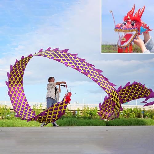 HYQING Dragon Poi Golden Scale Dragon Ribbon Poi, Fitness Sports Dragon Streamer Flinging Ribbo mit Goldprägungsprozess, Art Dance Flag for Jonglieren/Fitnessstudio(Purple,8 m (26 ft)) von HYQING