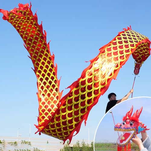 HYQING Dragon Poi Golden Scale Dragon Ribbon Poi, Fitness Sports Dragon Streamer Flinging Ribbo mit Goldprägungsprozess, Art Dance Flag for Jonglieren/Fitnessstudio(Red,6 m (20 ft)) von HYQING