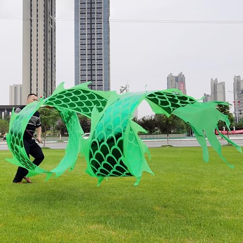 HYQING Dragon Poi Grünes Fitness-Tanz-Drachenband, chinesisches Drachendesign, Kunst-Tanzflagge mit Drachenkopf, Outdoor-Sport-Drachen-Streamer for Erwachsene/Senioren(8 m (26 ft)) von HYQING