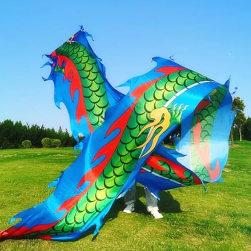 HYQING Dragon Poi Outdoor Fitness Dragon Flinging Ribbon, fließender Drachenstreamer mit 3D-echtem Drachenkopf, körperliches Training, Tanz-Dragon Poi for offene Plätze(Blue,10 m (33 ft)) von HYQING
