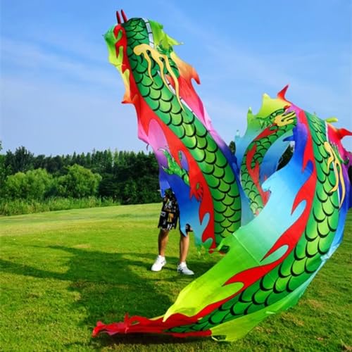 HYQING Dragon Poi Outdoor Fitness Dragon Flinging Ribbon, fließender Drachenstreamer mit 3D-echtem Drachenkopf, körperliches Training, Tanz-Dragon Poi for offene Plätze(Colorful,8 m (26 ft)) von HYQING