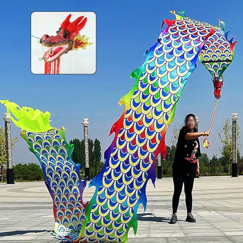 HYQING Dragon Poi Outdoor Fitness Dragon Poi Spinning Ribbons, Gymnastiktraining Dragon Flinging Ribbon, Jonglierdrachen-Streamer mit realistischem Drachenkopf(Colorful,6 m (20 ft)) von HYQING