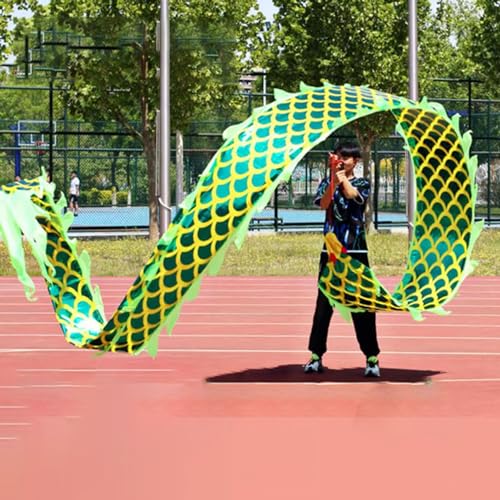 HYQING Dragon Poi Outdoor Sports Dragon Dance Ribbon, Grüner Drachenstreamer mit Drachenkopf aus Stahl und Reisetasche, Fitness-Schleuderband for Erwachsene/Senioren/Jugendliche(8 m (26 ft)) von HYQING