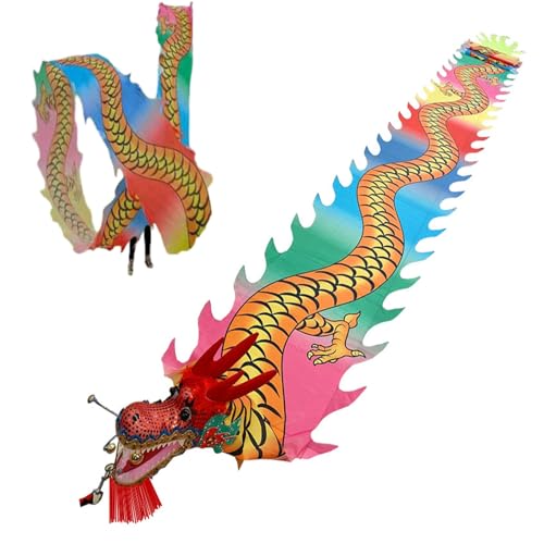 HYQING Dragon Poi Outdoor-Übungstanz-Drachenband, waschbarer Spinning Streamer im Drachendesign, Kunsttanzflagge for Erwachsene/Senioren mit echtem Drachenkopf(Colorful,8 m (26 ft)) von HYQING