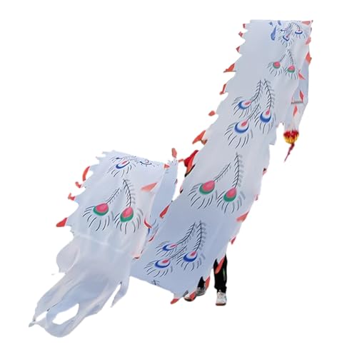 HYQING Dragon Poi Pfauenfeder Drachentanzband, 26 Fuß Lange waschbare Drachendesign-Kunsttanzflagge mit Drachenkopf, Outdoor-Sport-Fitness-Spinnbänder(White) von HYQING