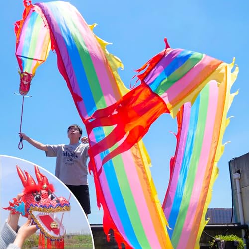 HYQING Dragon Poi Regenbogen-Modellier-Drachentanzband, fließendes Drachen-Streamer-Drachen-Set mit 3D-realistischem Drachenkopf, quadratische Übung, bunter Drachen-Streamer(6 m (20 ft)) von HYQING